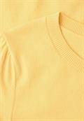 bloom yellow