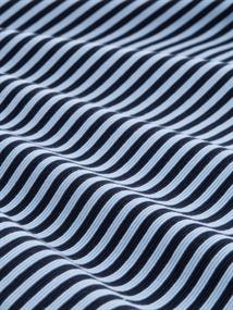 blue navy regular stripe