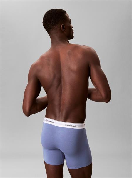 BOXER BRIEF 3PK white-blue tulip-turbulence