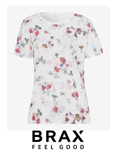 Brax 12.04.4