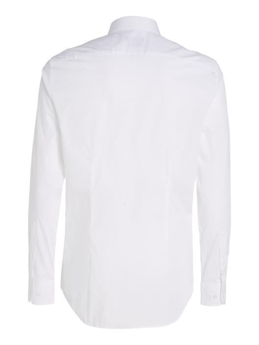 bright-white
