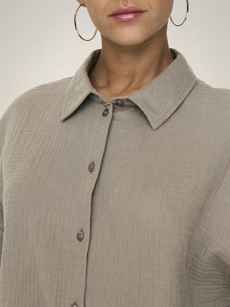 brindle