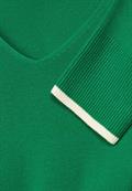 brisk green