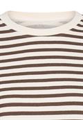 brown stripes