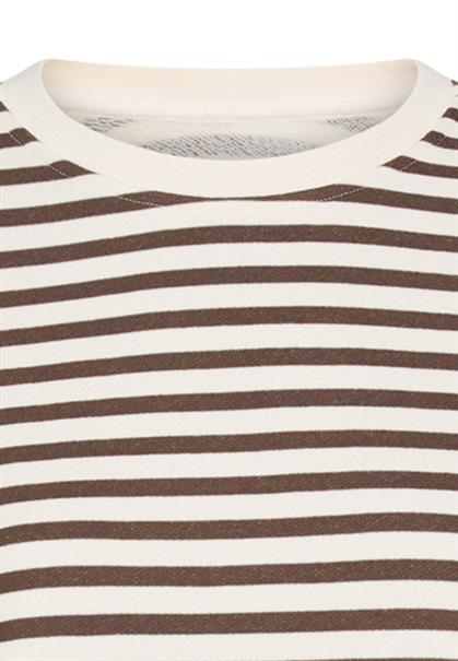 brown stripes