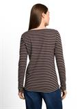 brown white stripe