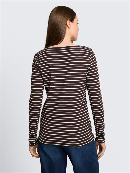 brown white stripe