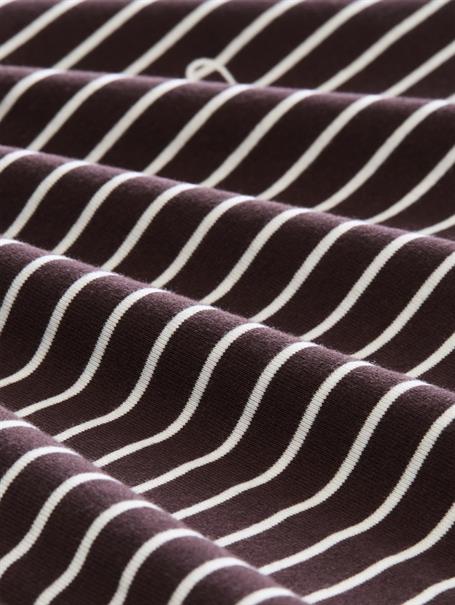 brown white stripe