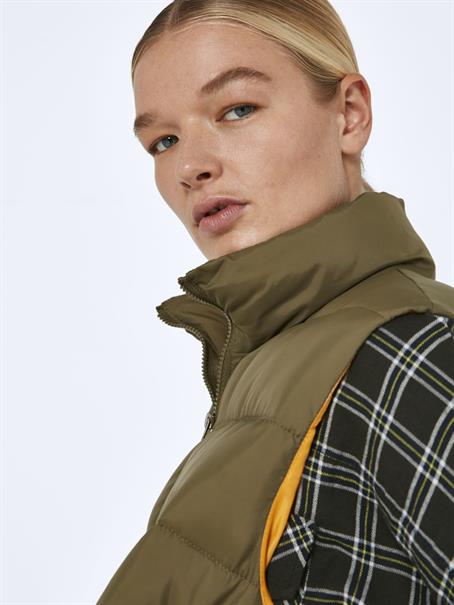 burnt olive