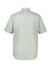 BUTTON DOWN bay green