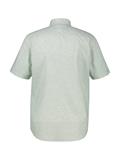 BUTTON DOWN bay green