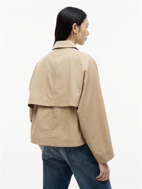camel