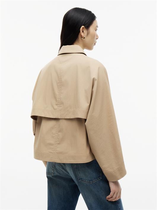 camel