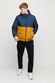 Campus Jacket navy-curry