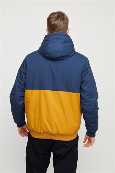 Campus Jacket navy-curry