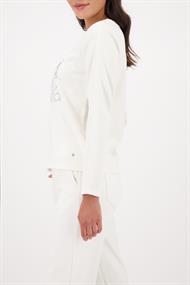 cashmere