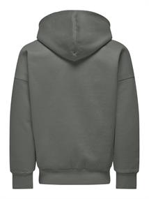 castor gray