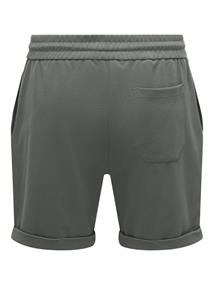 castor gray