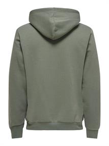 castor gray