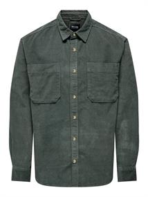 castor gray