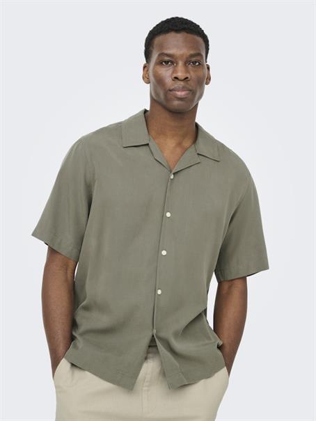 castor gray