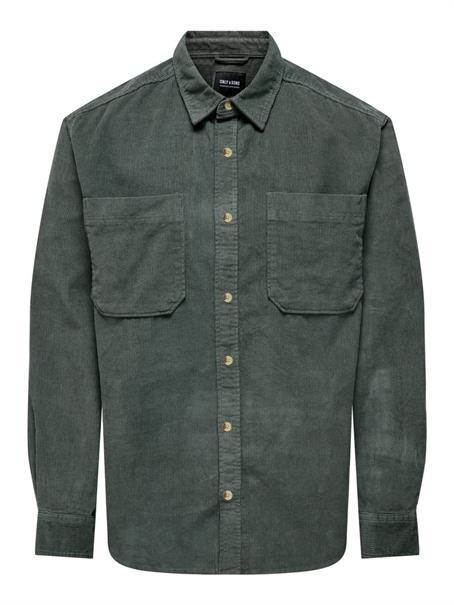 castor gray