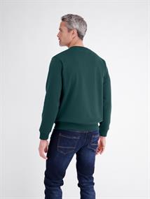 cedar green