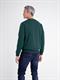 cedar green