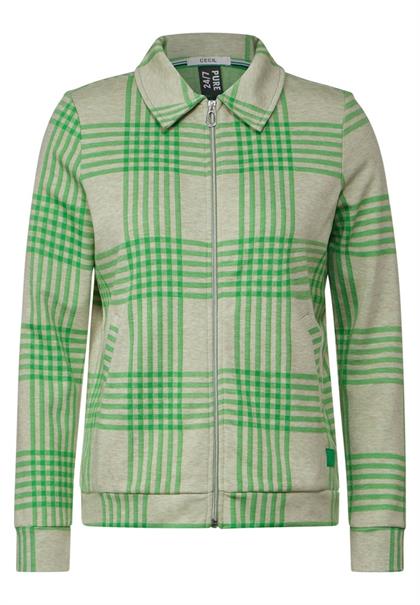 celery green