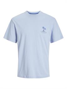 chambray blue