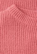 Chenille Pullover striking coral
