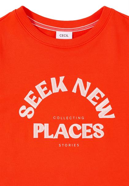 cherry tomato orange