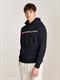 CHEST STRIPE HOODY desert sky