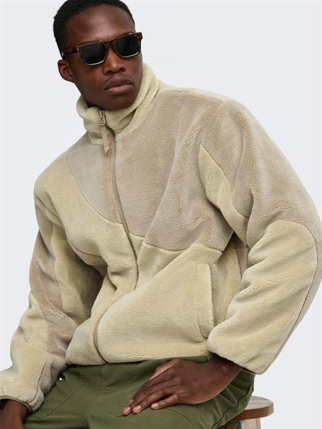 chinchilla