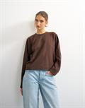chocolate brown
