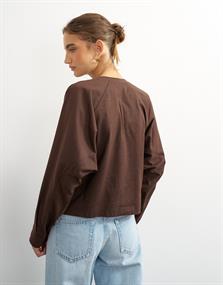 chocolate brown