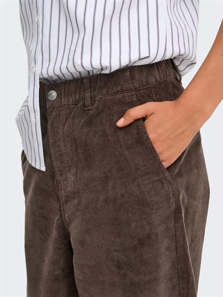 chocolate brown