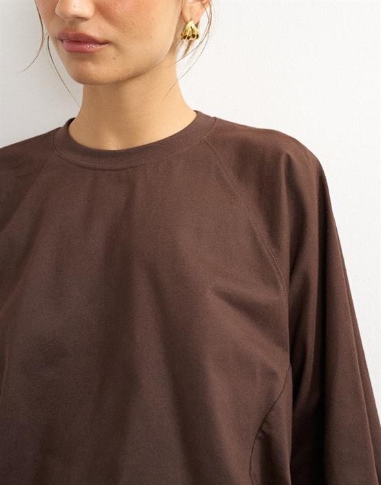 chocolate-brown