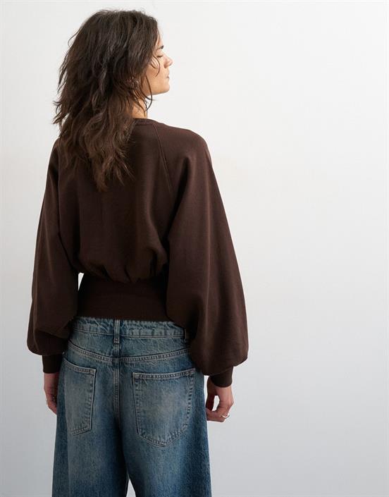 chocolate-brown