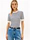 CO JERSEY FINE GG C-NK SS SWT ivory petal-dark n navy stp