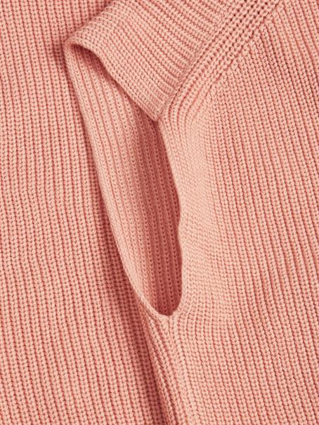 coral haze