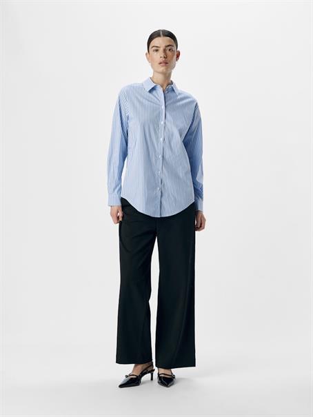 cornflower blue