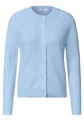 cosmopolitan blue melange