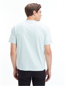 COTTON COMFORT FIT T-SHIRT ghost glacier