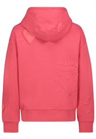 D10600BI02753B signal pink