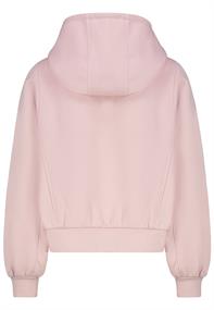 D10600BI02863A1 iced rose