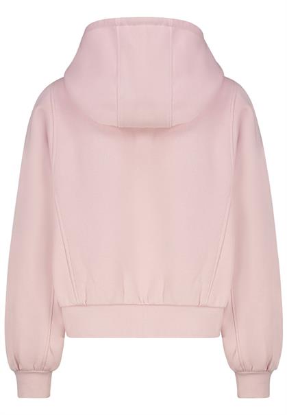 D10600BI02863A1 iced rose