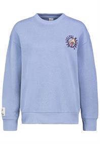 D10600T02568D hydrangea blue