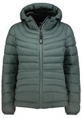 D50092XB44554A2 pine green