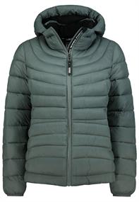 D50092XB44554A2 pine green